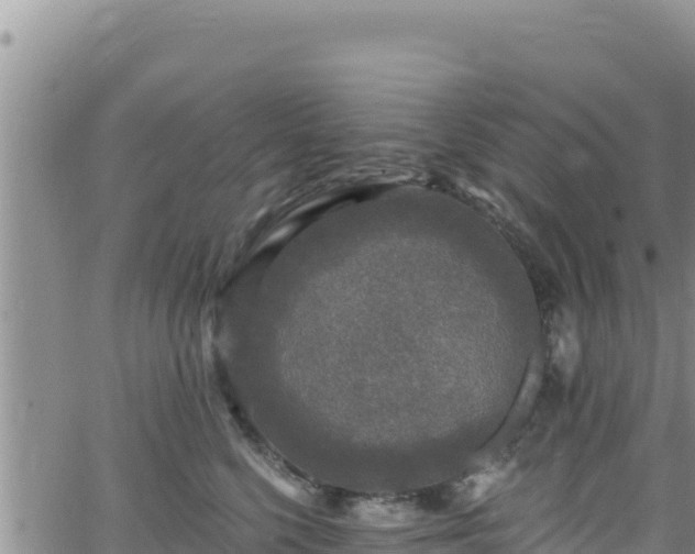 X0000062140568200512161221