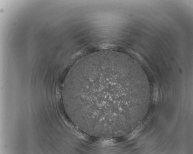 X0000062140569200512161221