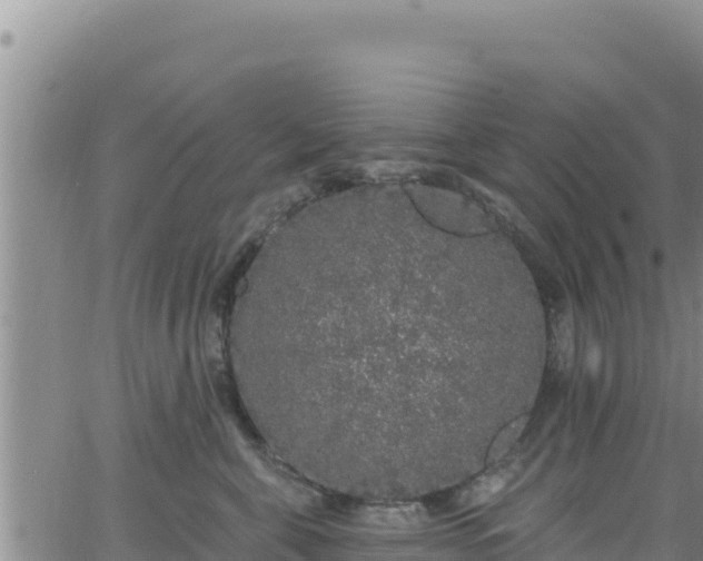 X0000062140571200512161221