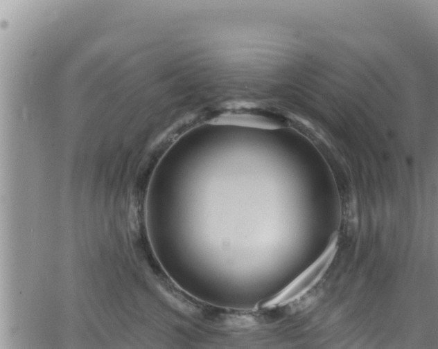 X0000062140572200512161221