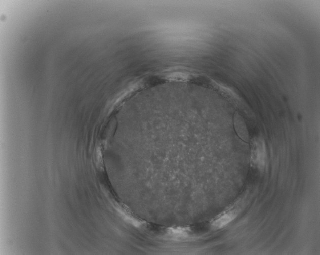 X0000062140573200512161221