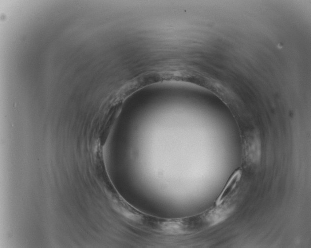 X0000062140574200512161221