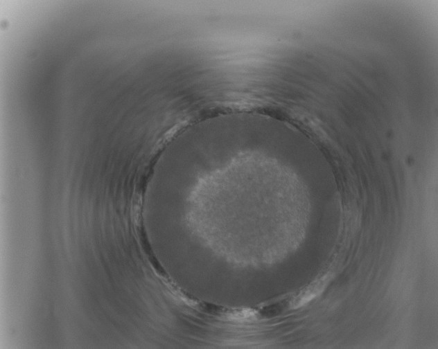 X0000062140576200512161221