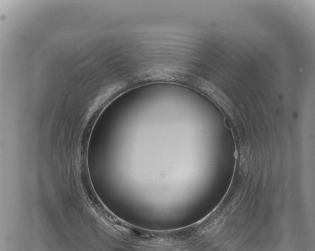 X0000062140578200512161220