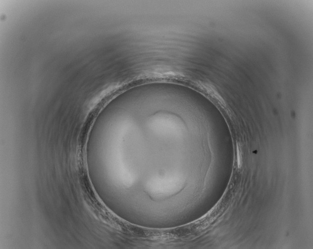 X0000062140579200512161220