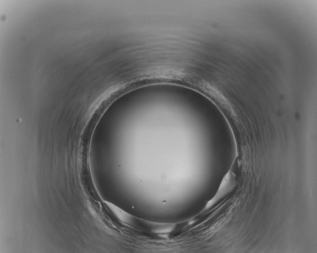 X0000062140580200512161220