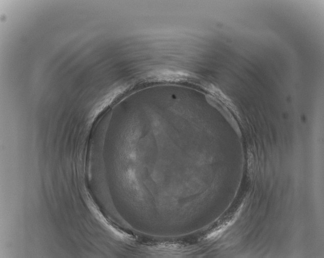 X0000062140581200512161220