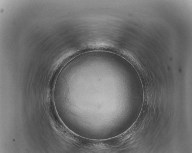 X0000062140583200512161220