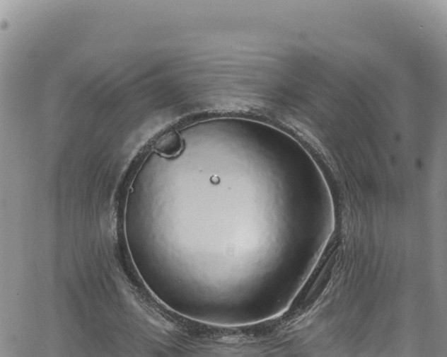 X0000062140584200512161220