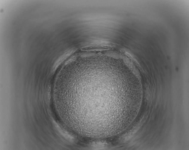 X0000062140586200512161220