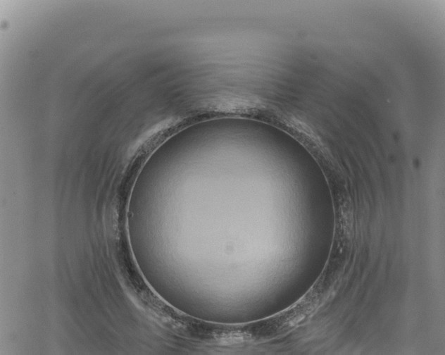 X0000062140587200512161220