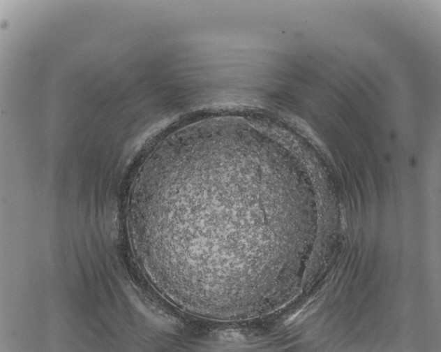 X0000062140588200512161220