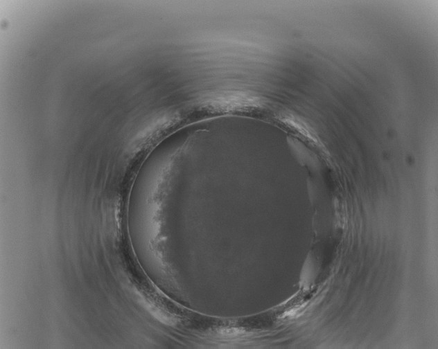 X0000062140590200512161220