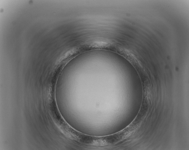 X0000062140591200512161220