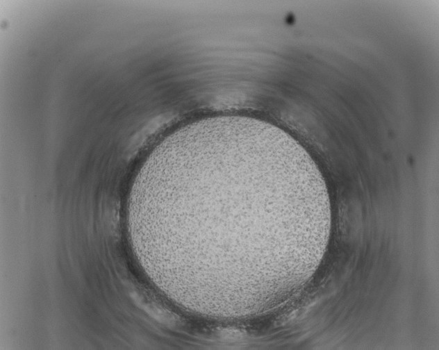 X0000062140592200512161220