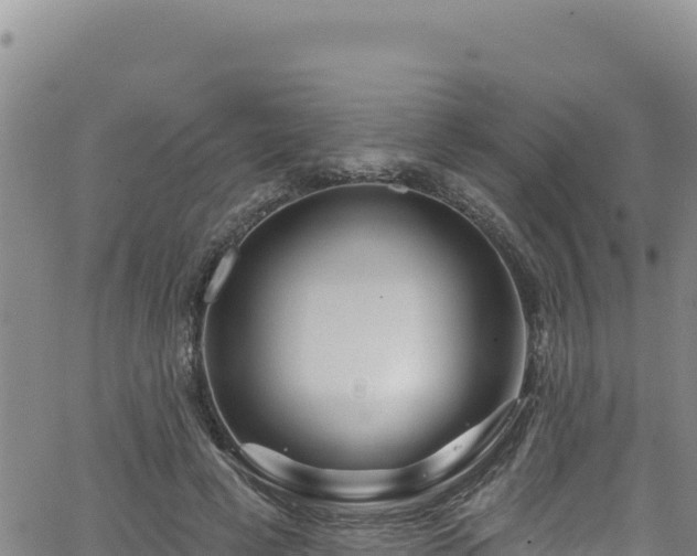 X0000062140593200512161220