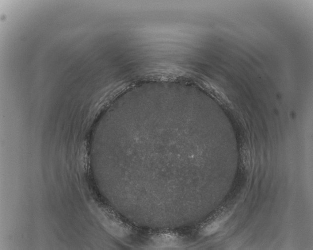 X0000062140594200512161220