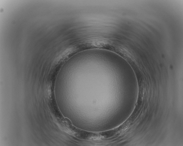 X0000062140595200512161220