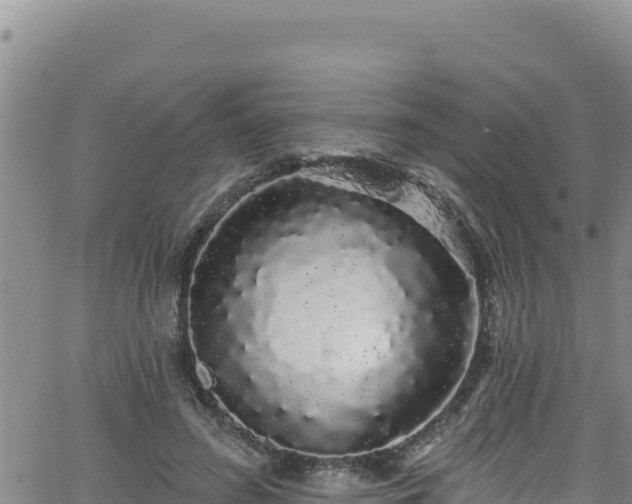 X0000062140596200512161220