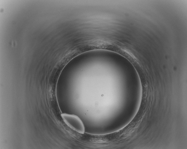 X0000062140597200512161220