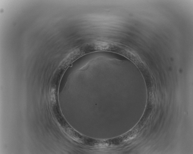 X0000062140598200512161220