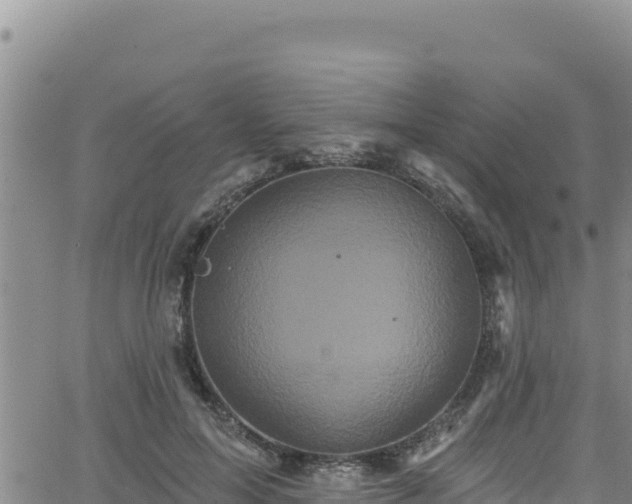 X0000062140599200512161219