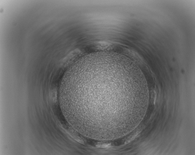 X0000062140602200512161219