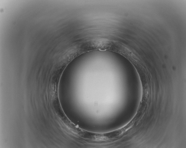 X0000062140605200512161219