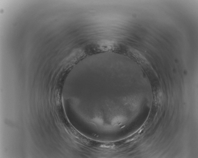 X0000062140606200512161219