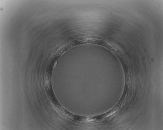 X0000062140607200512161219