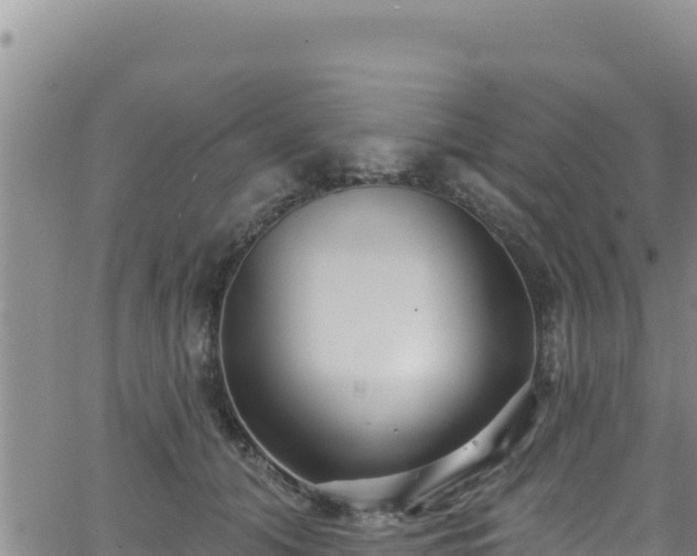 X0000062140608200512161219