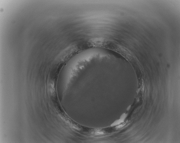 X0000062140610200512161219