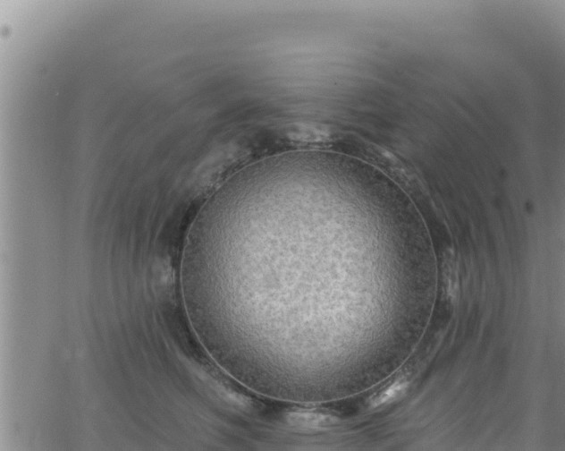 X0000062140614200512161219