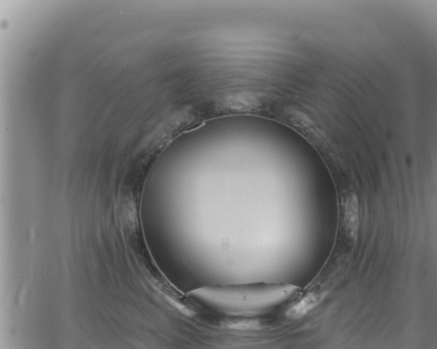 X0000062140617200512161219