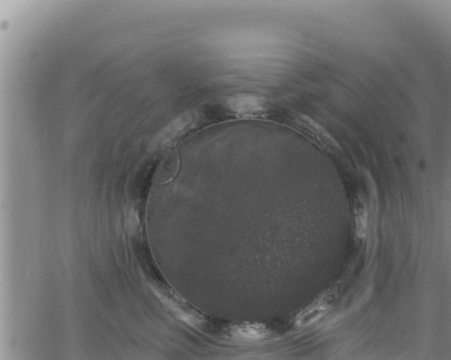 X0000062140618200512161219