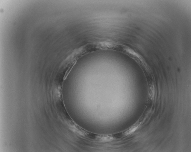 X0000062140621200512161219