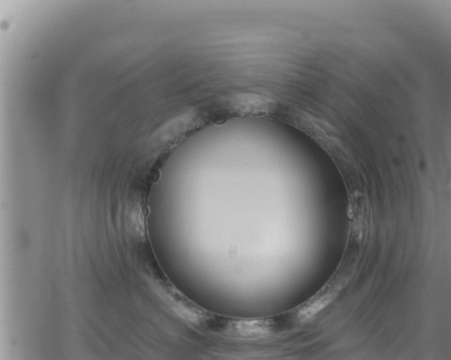 X0000062140622200512161219