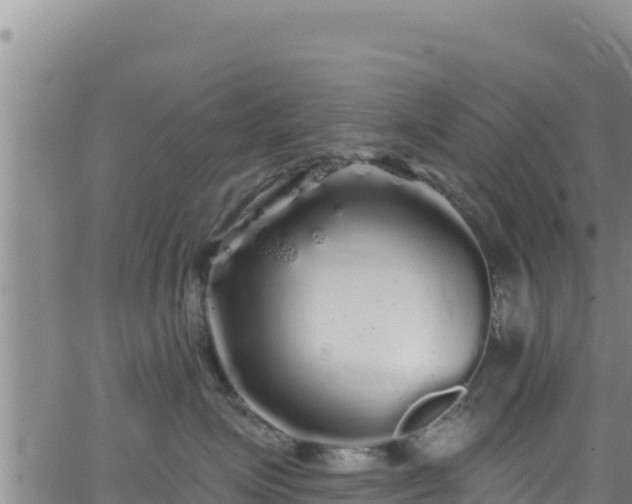 X0000062140623200512161219