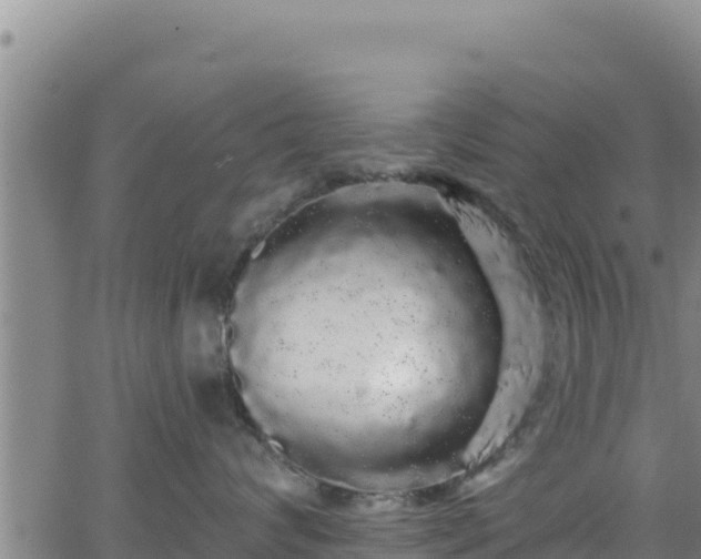 X0000062140624200512161219