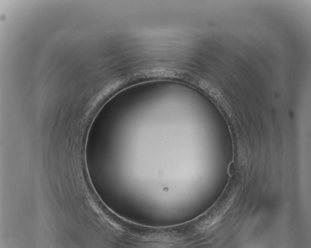 X0000062140625200512161218