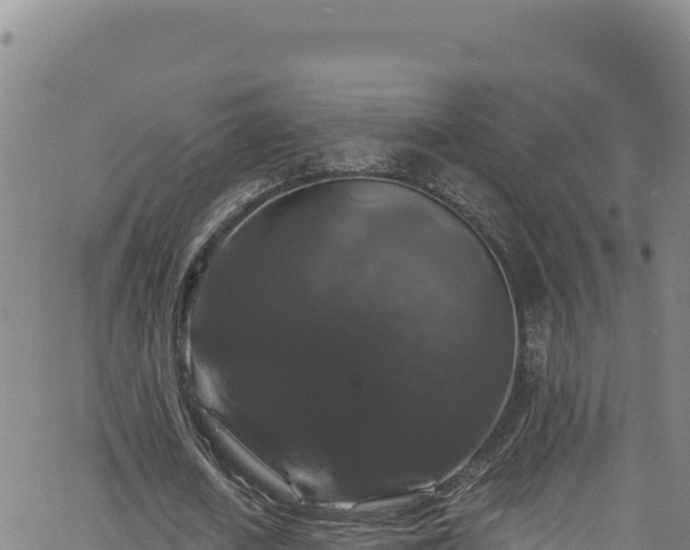 X0000062140626200512161218