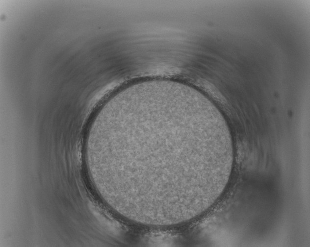 X0000062140632200512161218