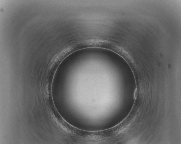 X0000062140633200512161218