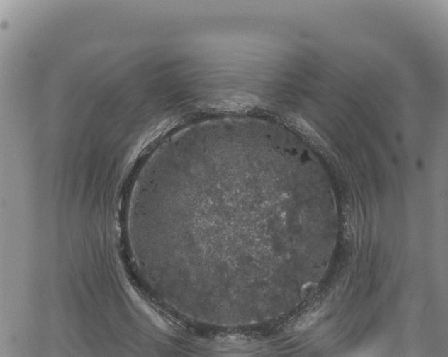 X0000062140634200512161218