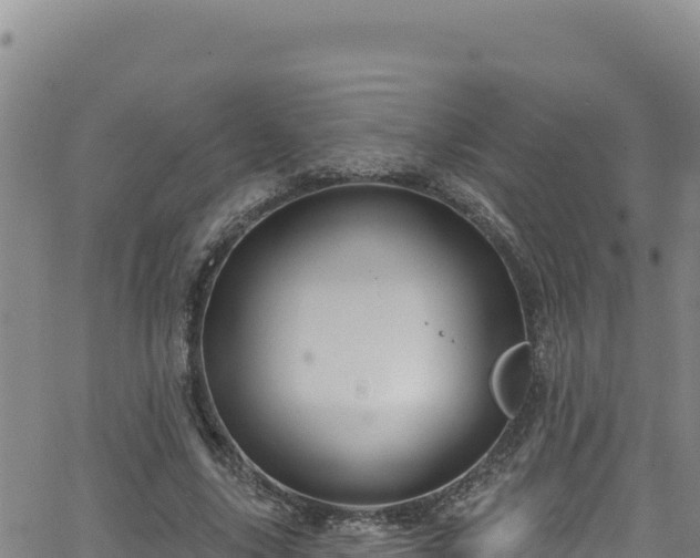 X0000062140635200512161218