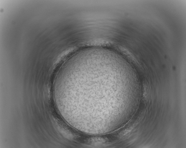 X0000062140636200512161218