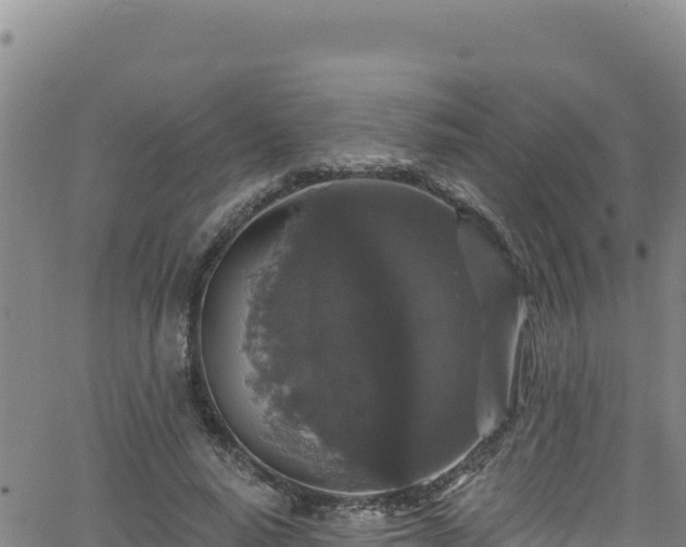 X0000062140640200512161219