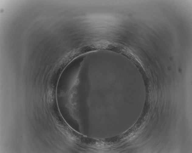 X0000062140641200512161219