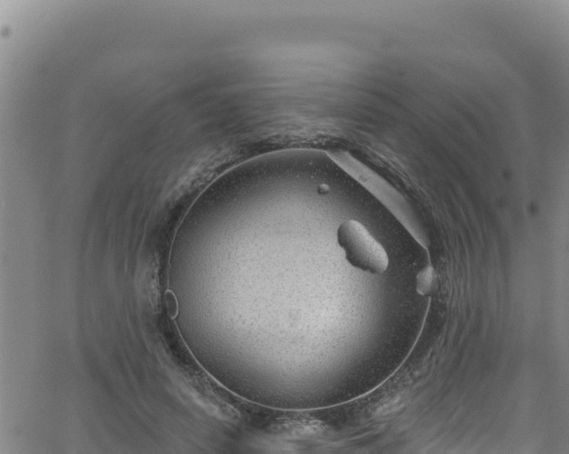 X0000062140642200512161219