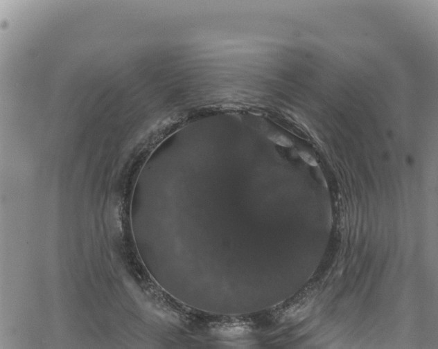 X0000062140643200512161219